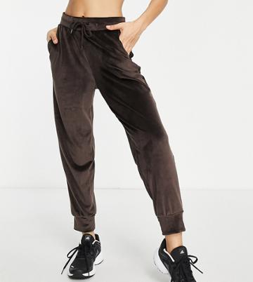 Hoxton Haus Petite Velour Sweatpants In Chocolate Brown - Part Of A Set
