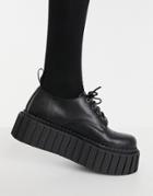 Lamoda Chunky Lace Up Creeper Shoes In Black