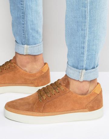 Boxfresh Civik Suede Sneakers - Tan