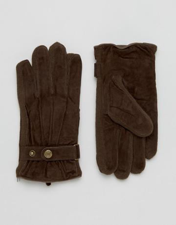 Dents Chester Suede Gloves In Brown - Brown