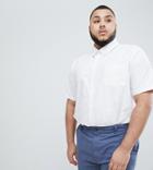Badrhino Plus Short Sleeve Button Down Oxford Shirt In 100% Cotton In White - White