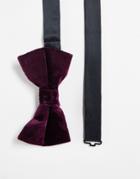 French Connection Velvet Bow Tie-red