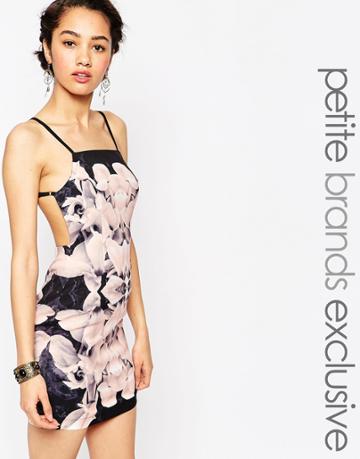 Tiger Mist Petite Blush Printed Mini Dress - Multi