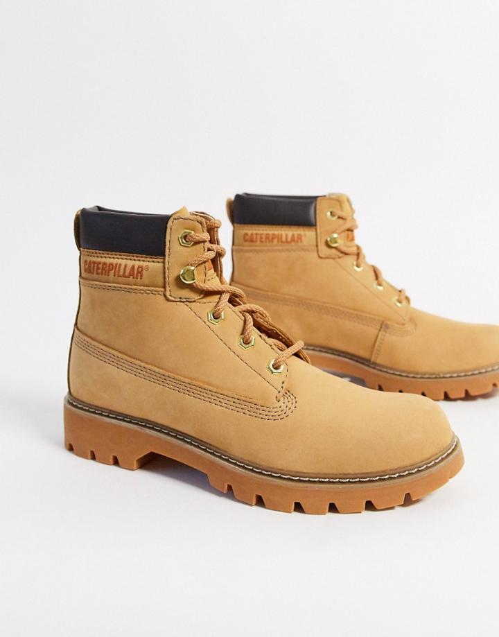 Cat Leather Hiker Boots In Honey-brown