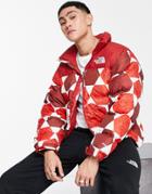 The North Face Ic Geo 1996 Retro Nuptse Jacket In Red