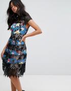 Foxiedox Lace & Print Detail Midi Dress - Black