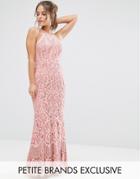 Jarlo Petite Allover Lace High Neck Maxi Dress - Pink