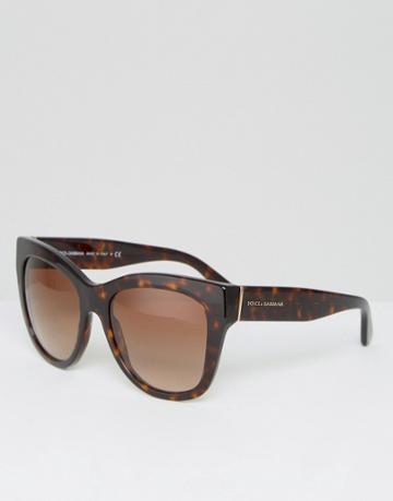 Dolce & Gabanna Classic Oversized Sunglasses In Tortoise - Brown