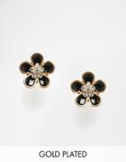 Pilgrim Flower Gold Plated Stud Earrings Black