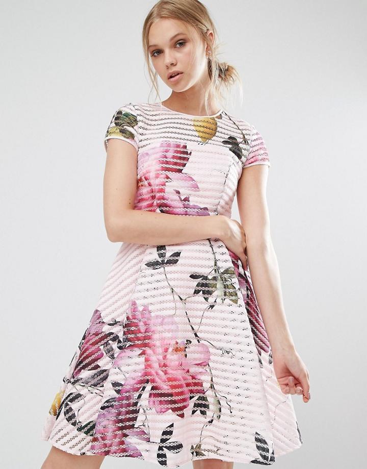Ted Baker Citrus Bloom Full Mesh Dress - Pink