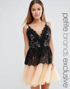 True Decadence Petite Lace Top Mini Prom Dress With Tulle Skirt
