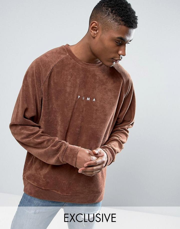 Puma Towelling Sweat In Brown Exclusive To Asos 57532502 - Brown