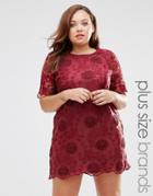 Rage Plus Plus Shift Dress In Crochet Lace - Red