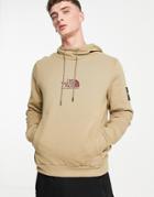 The North Face Fine Alpine Hoodie In Brown
