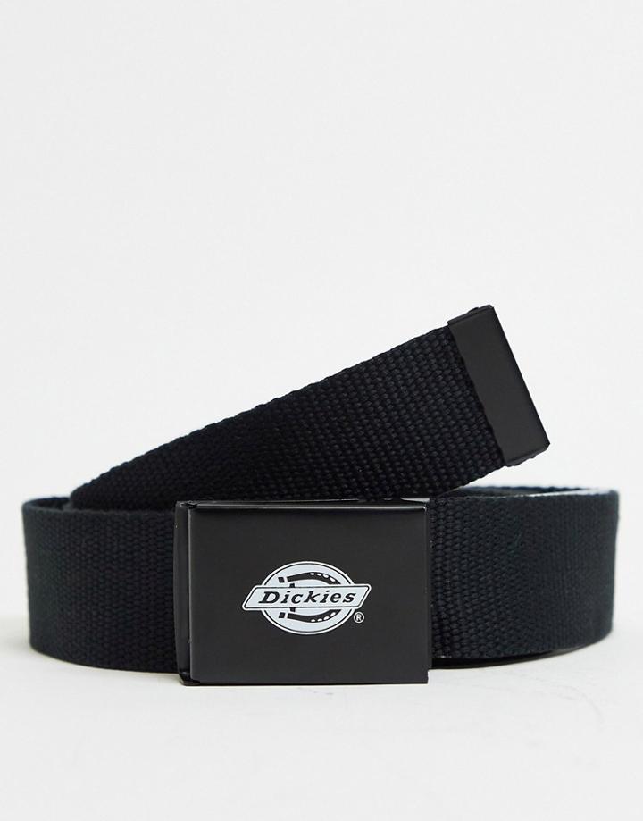 Dickies Orcutt Belt In Black