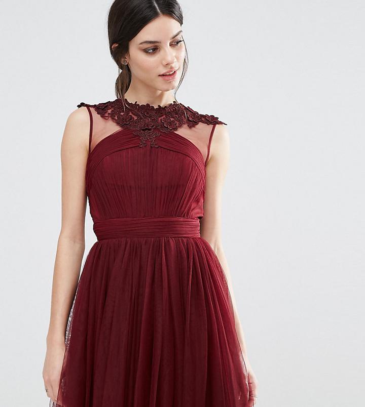 Little Mistress Petite Floral Lace Applique Mini Skater Dress With Mesh Detail - Red