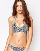 Little Mistress Speckle Print Halter Bikini Set - Multi