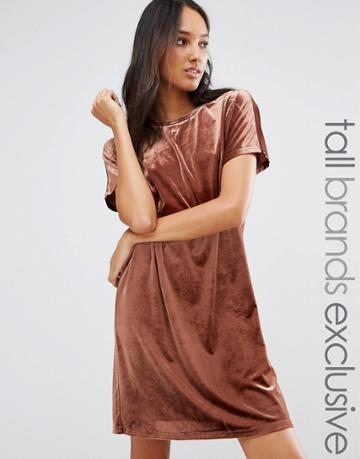 One Day Tall Allover Velvet Mini Shift Dress - Brown