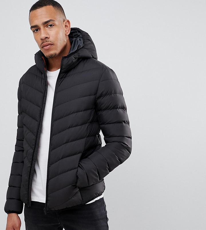 Brave Soul Tall Nylon Hooded Padded Hooded Jacket - Black