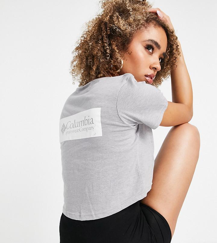 Columbia Csc River Back Print Cropped T-shirt In Gray Exclusive At Asos
