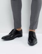 Base London Crown Leather Brogue Derby Shoes In Black - Black