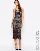 Jarlo Tall Lace Midi Dress - Navy