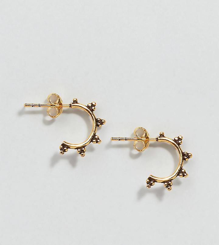 Kingsley Ryan Gold Plated Mini Bali Hoop Earrings - Gold