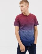 Hollister Icon Logo Dip Dye T-shirt In Burgundy To Navy - Red
