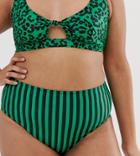 Wolf & Whistle Curve Exclusive Eco High Waist Bikini Bottom In Stripe-green