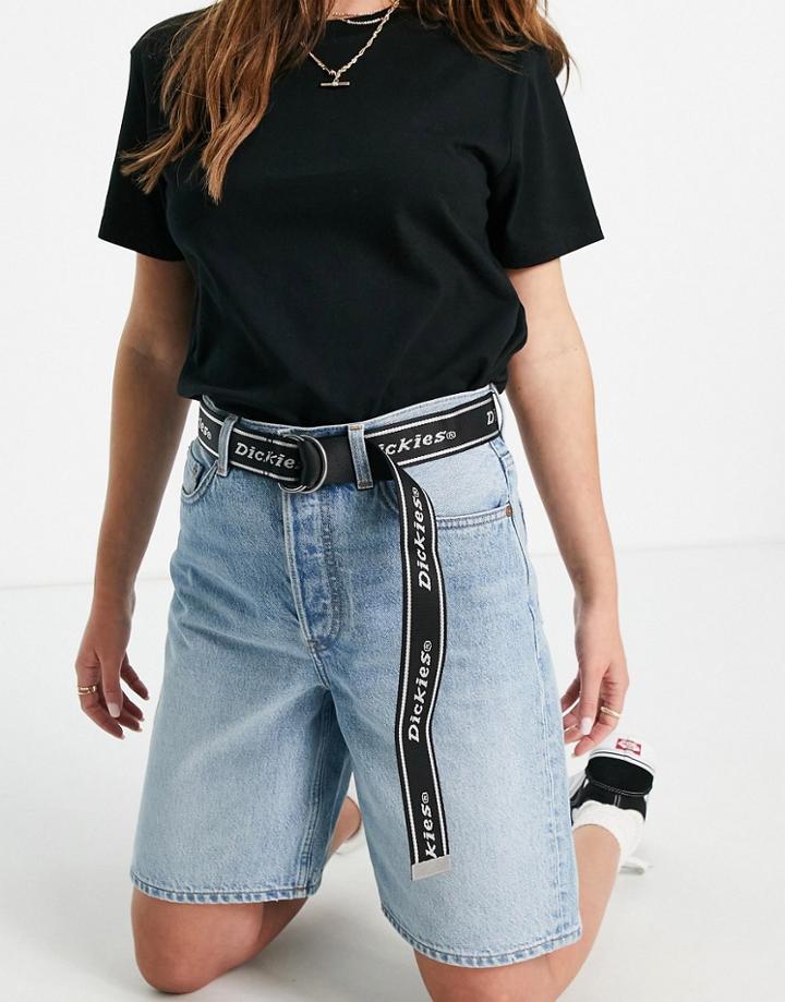Dickies Amboy Belt In Black