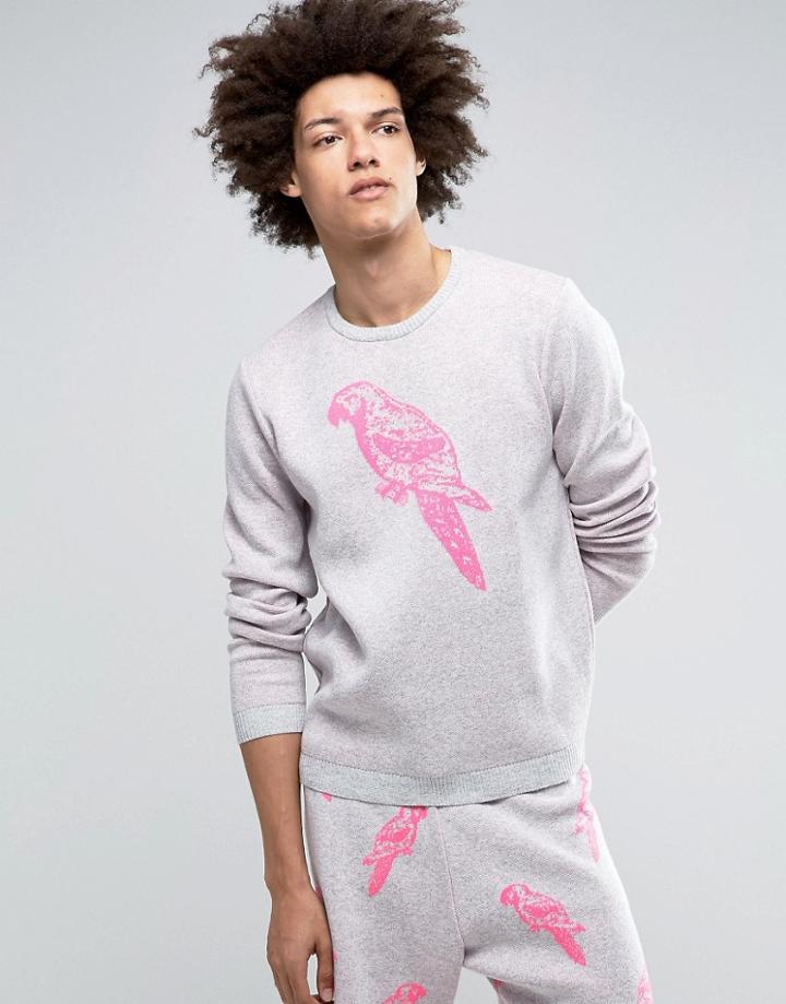 Asos Sweater With All Over Parrot Design - Gray