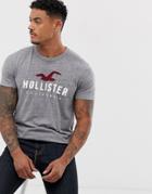 Hollister Iconic Tech Logo T-shirt In Gray