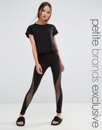 Quontum Petite Side Mesh Insert Legging - Black