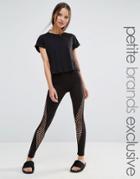 Quontum Petite Side Mesh Insert Legging - Black