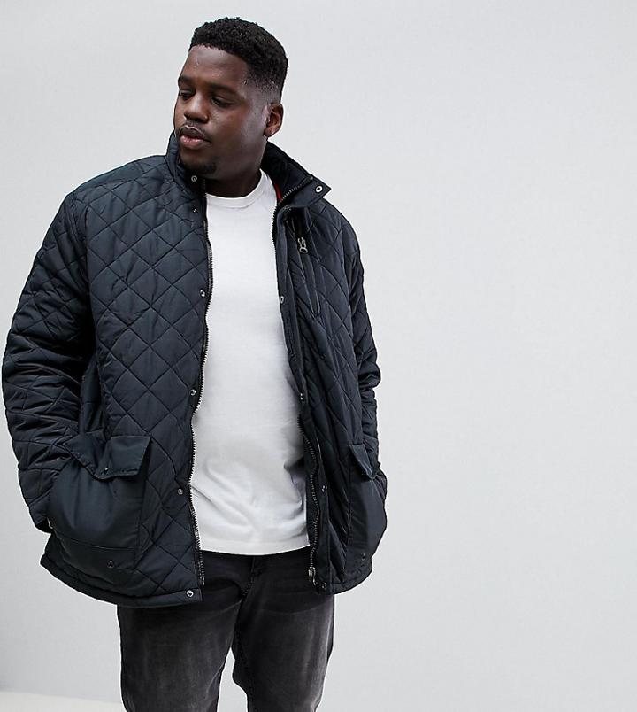 Duke King Size Quilted Jacket In Black - Black
