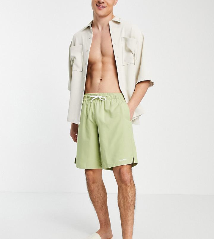 Collusion Board Shorts In Sage Green-black