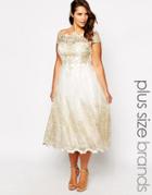 Chi Chi London Plus Premium Lace Prom Dress With Cap Sleeve - Cream