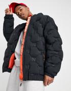 Nautica Competition Popped Padded Jacket In Black
