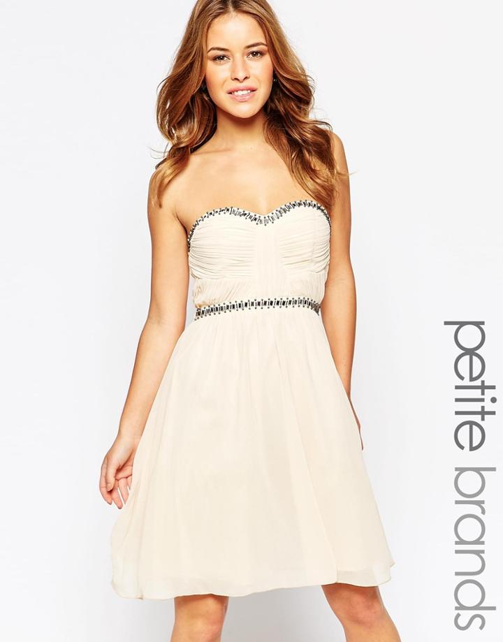 Little Mistress Petite Bandeau Skater Dress With Embellishment - Mink