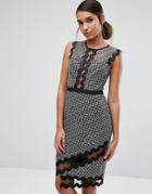 Three Floor Midi Pencil Dress In Contrast Lace With Piping - Multi