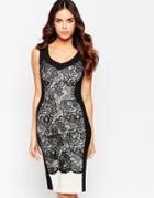 Hybrid Hudson Scallop Lace Dress With V Neck
