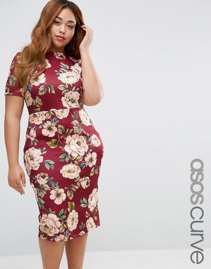 Asos Curve Oxblood Floral T-shirt Bodycon Dress - Multi