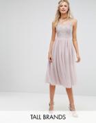 Little Mistress Tall Lace Applique Top Midi Tulle Prom Dress - Purple
