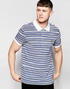 Lyle & Scott Hand Drawn Stripe Polo Shirt - White