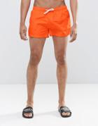 Swells Short Shorts In Orange - Orange
