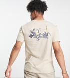 Columbia Path Lake Ii Back Print T-shirt In Beige Exclusive To Asos-neutral