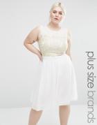 Lovedrobe Plus Skater Dress With Lace Insert - Cream