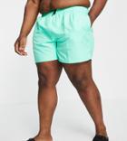 Nike Swimming Plus 5 Inch Swim Shorts In Green