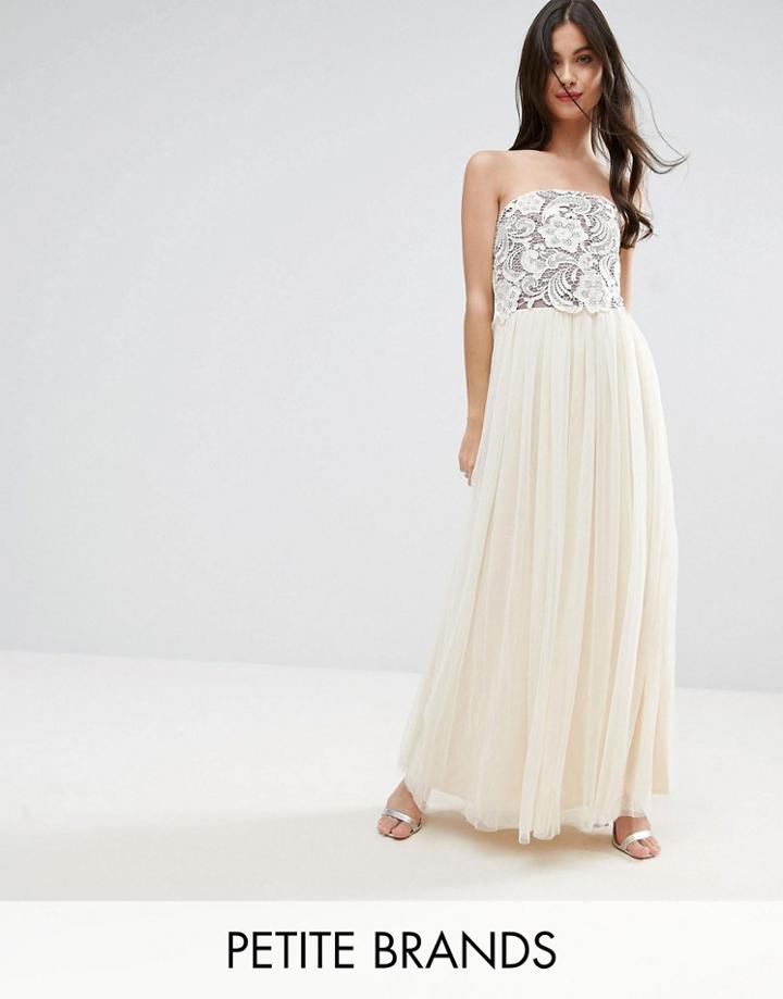 Little Mistress Petite Bandeau Maxi Dress With Lace Overlay - Beige