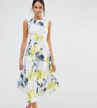 Every Cloud Floral Trellis Print Drop Waist Dress - Multi